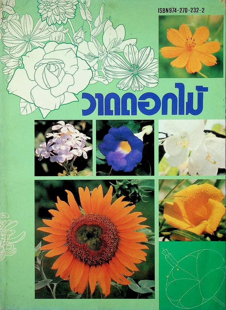 วาดดอกไม้