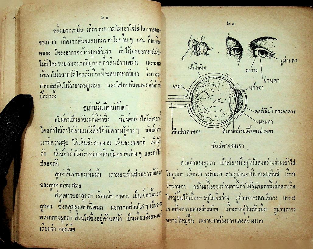 แบบเรียนสุขศึกษา ประโยคมัธยมศึกษาตอนต้น