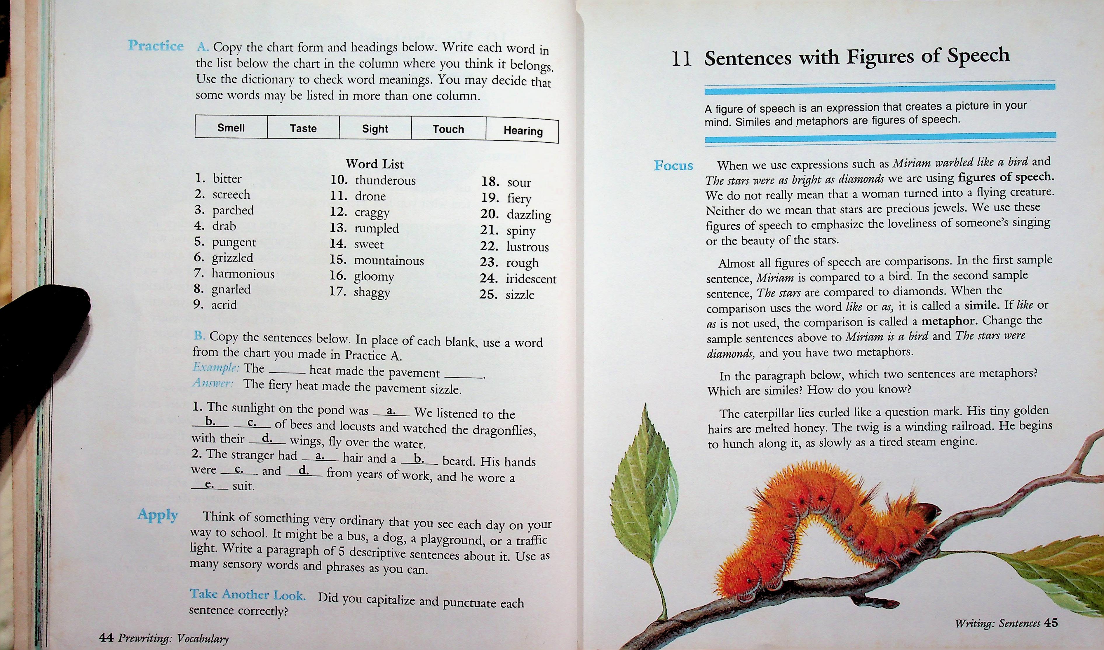 LANGUAGE: SKILLS AND USE