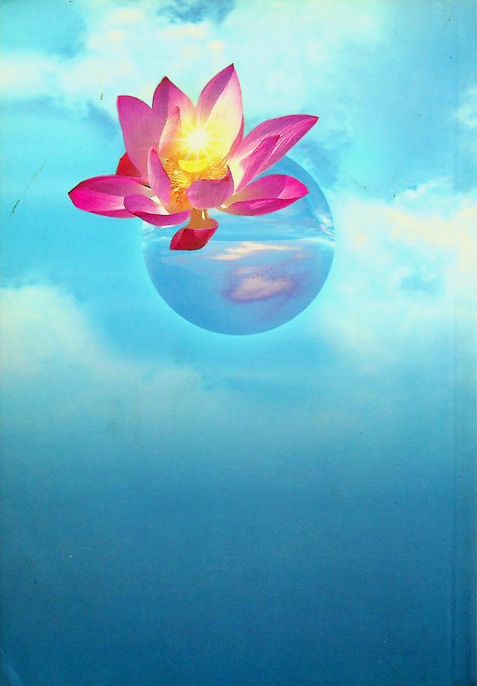 วิปัสสนานัย เล่ม ๒ พระโสภณมหาเถระ (มหาสีสยาดอ) รจนา