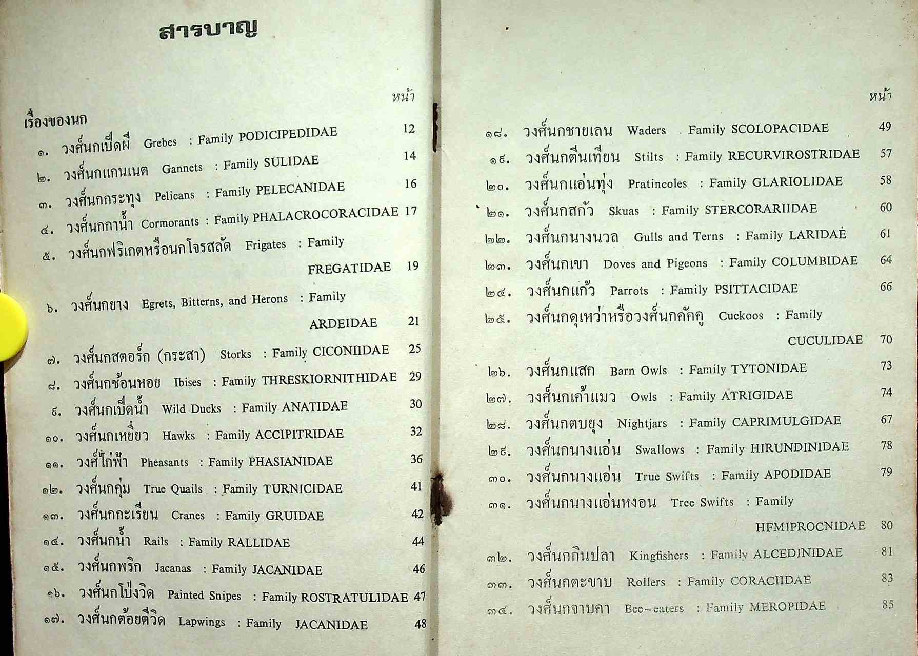 หนังสืออ่านเพิ่มเติมวิชาสังคมศึกษา เรื่อง นก ประโยคประถมศึกษา