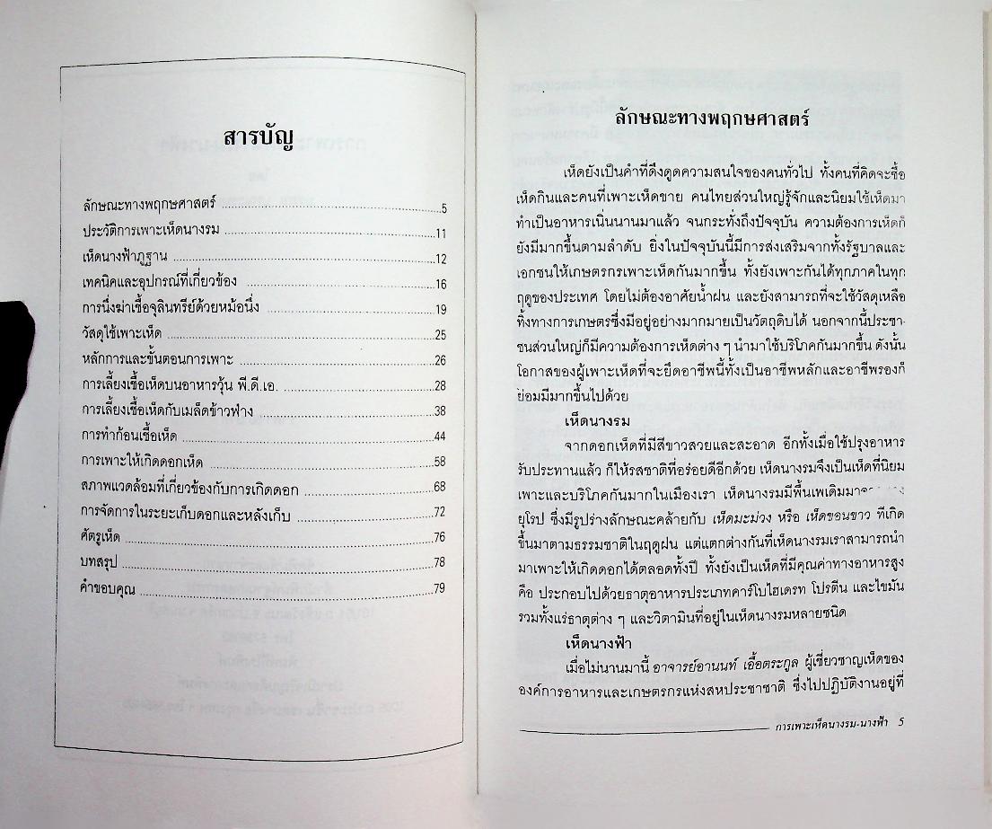 การเพาะเห็ดนางรม-นางฟ้า