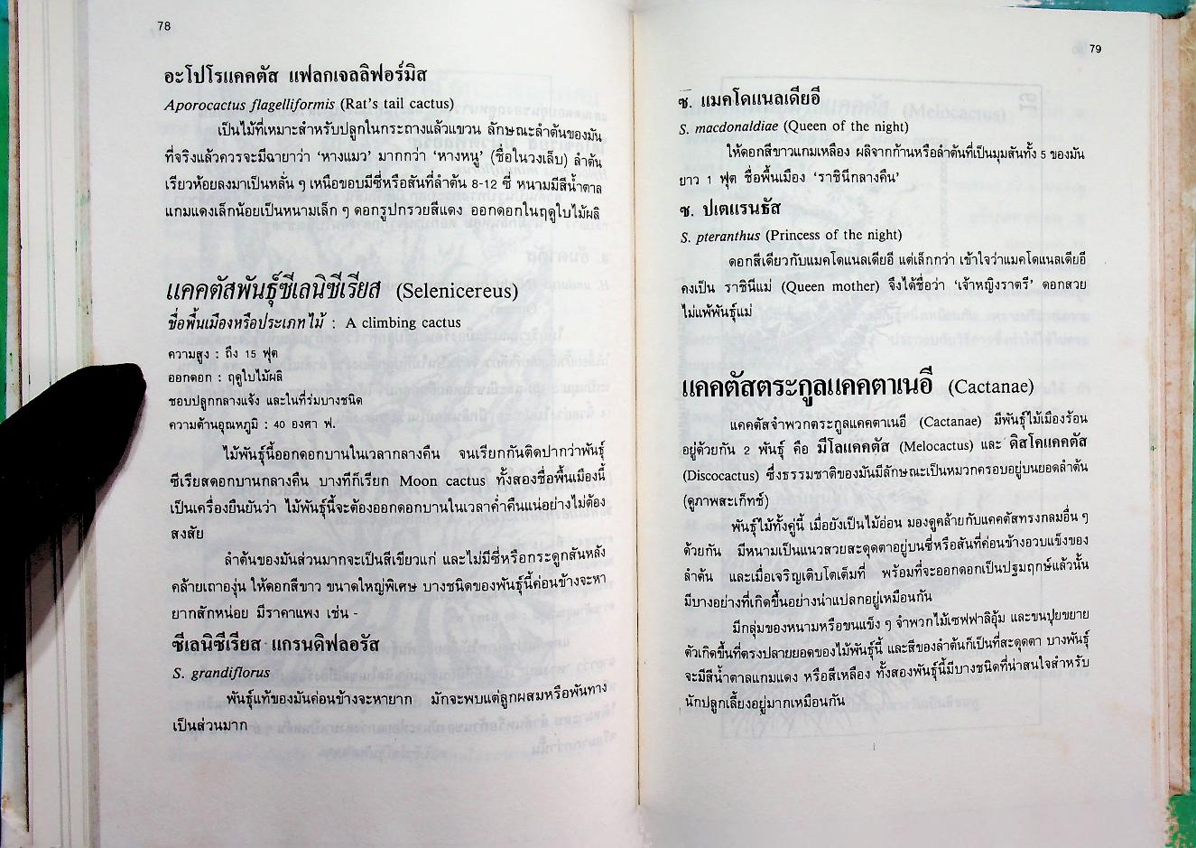 ตำราปลูกเลี้ยงและขยายพันธุ์ แคคตัส และไม้ใบอวบ