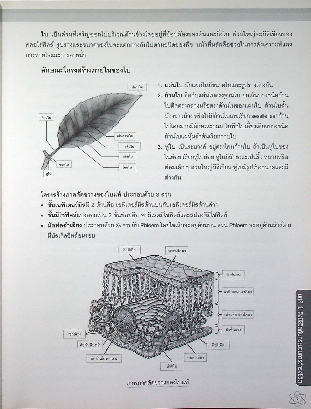 สรุปเข้ม วิทยาศาสตร์ ม.ต้น มั่นใจเต็ม 100