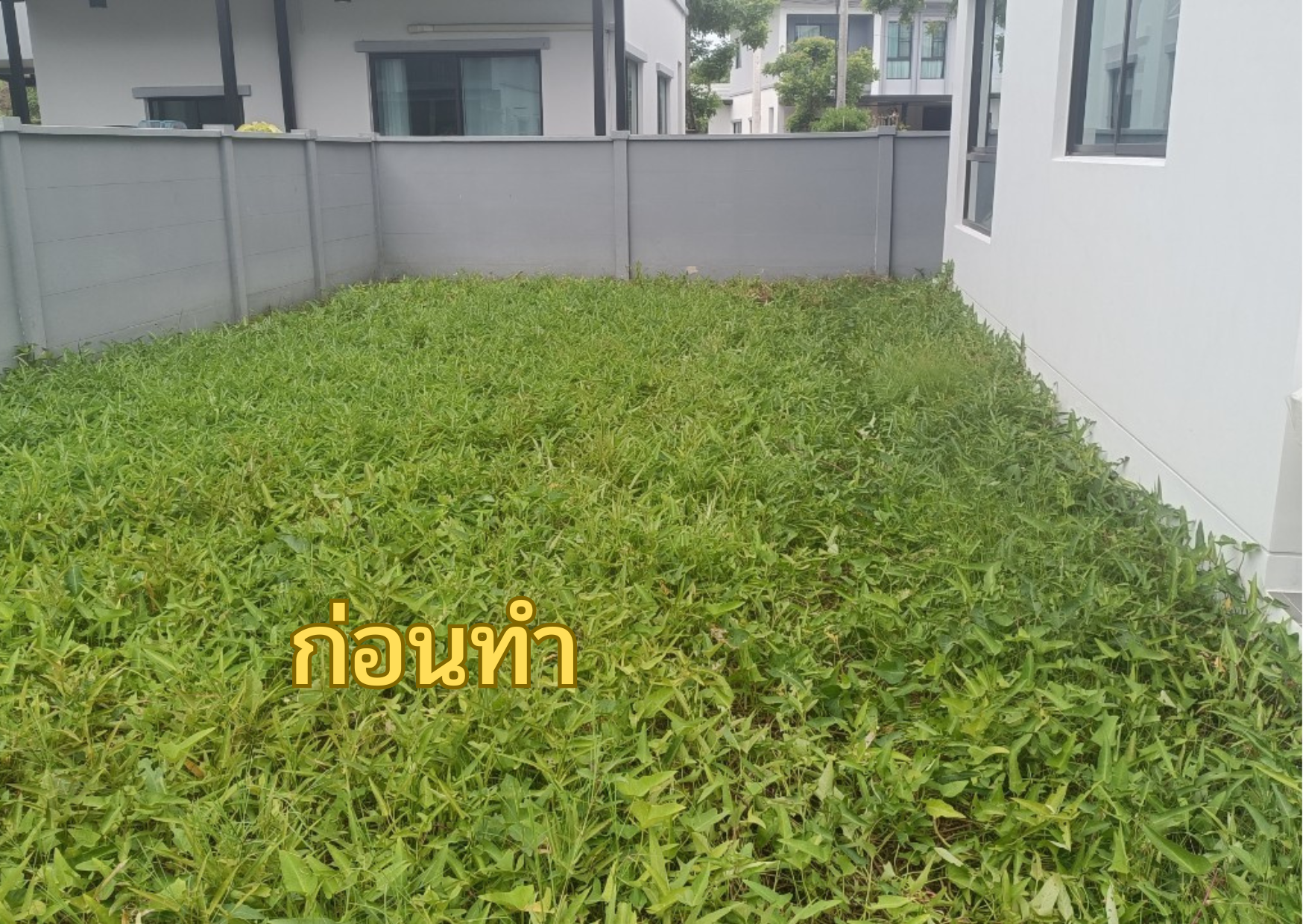 บริการรับตัดหญ้า ปทุมธานี โทร 094-515-7920