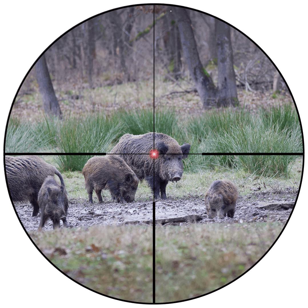 VECTOR OPTICS Constantine 1-10x24 Riflescope Fiber Dot Reticle