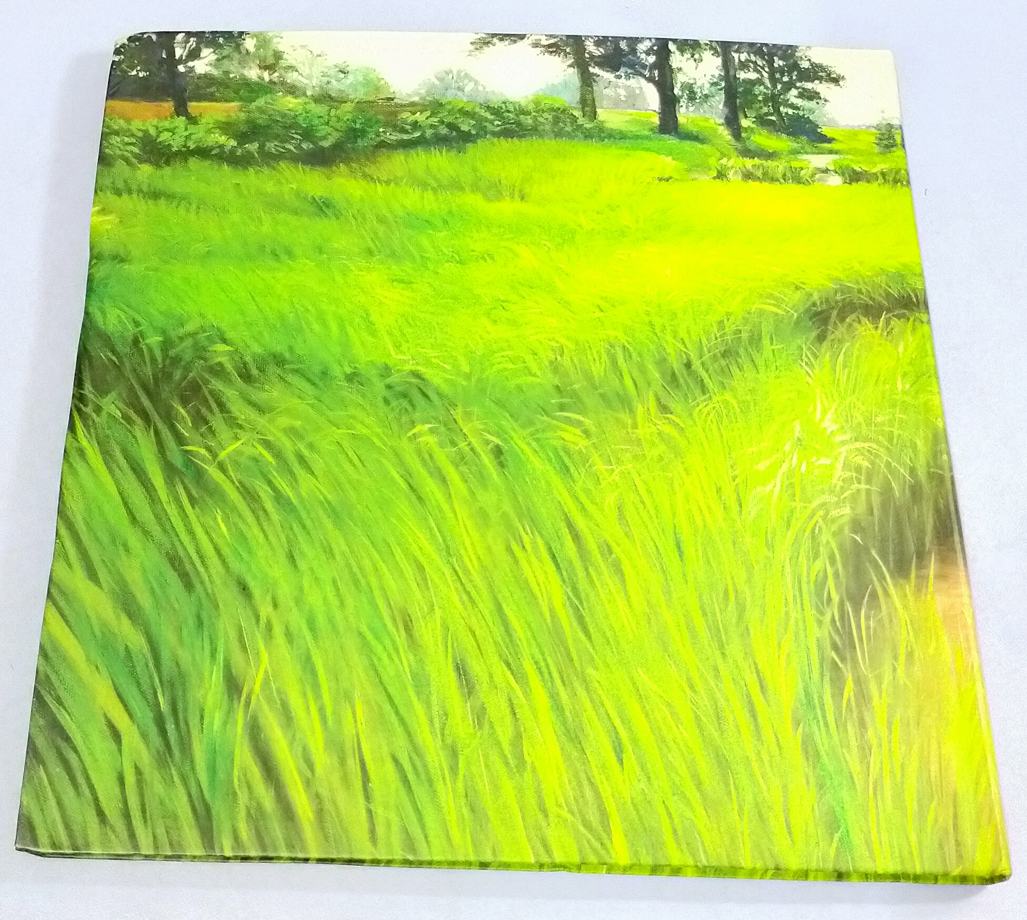 ขวัญข้าว ขวัญแผ่นดิน