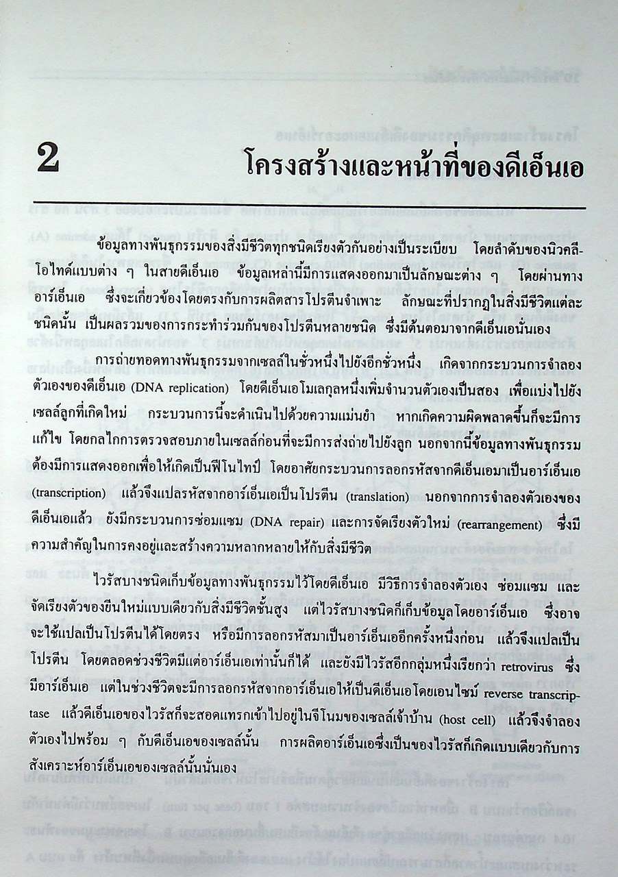 พันธุวิศวกรรมเบื้องต้น