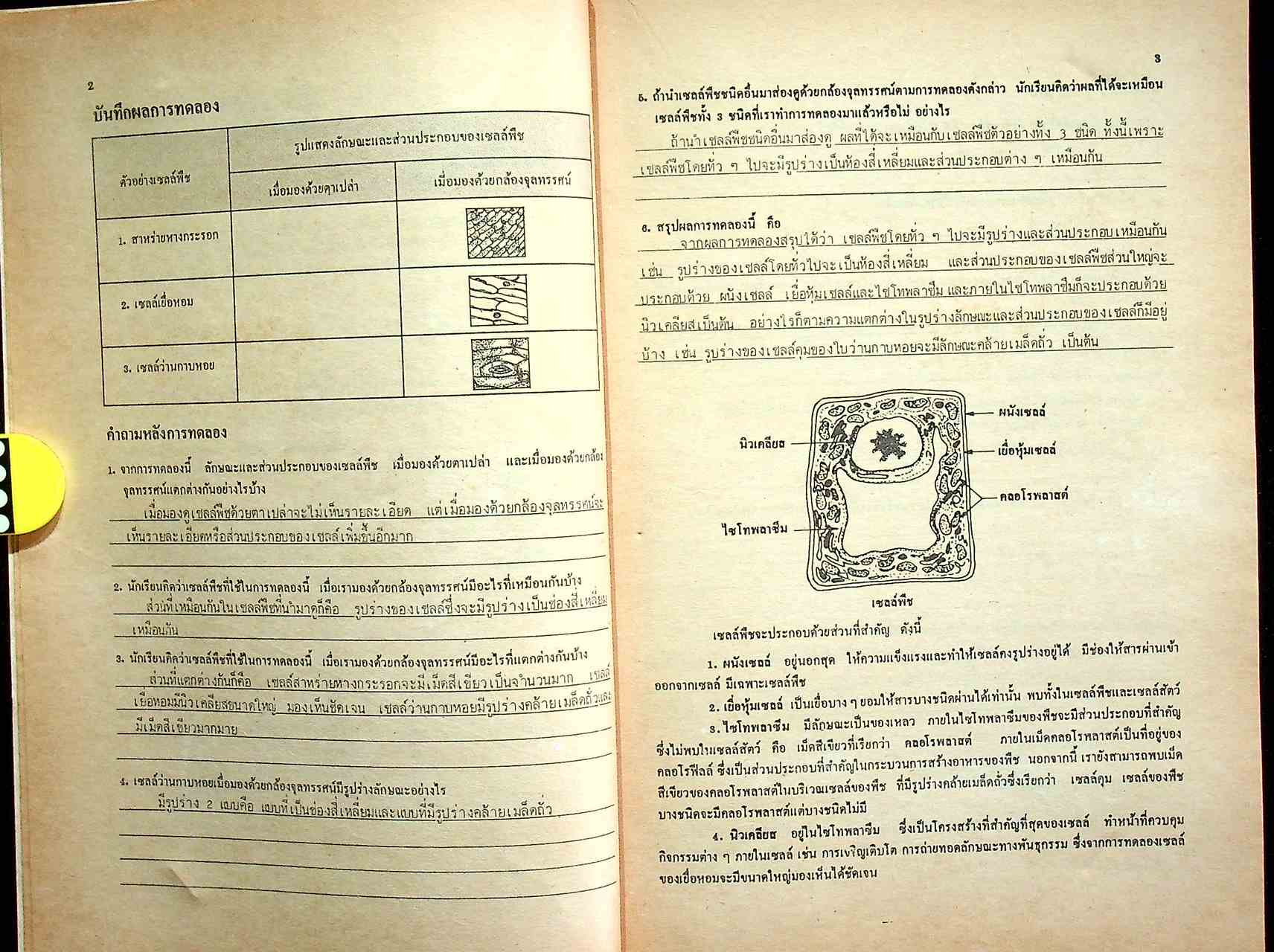 เฉลย หนังสือปฏิบัติกิจกรรมวิทยาศาสตร์ ว 102 ม.1 ภาคเรียนที่ 2