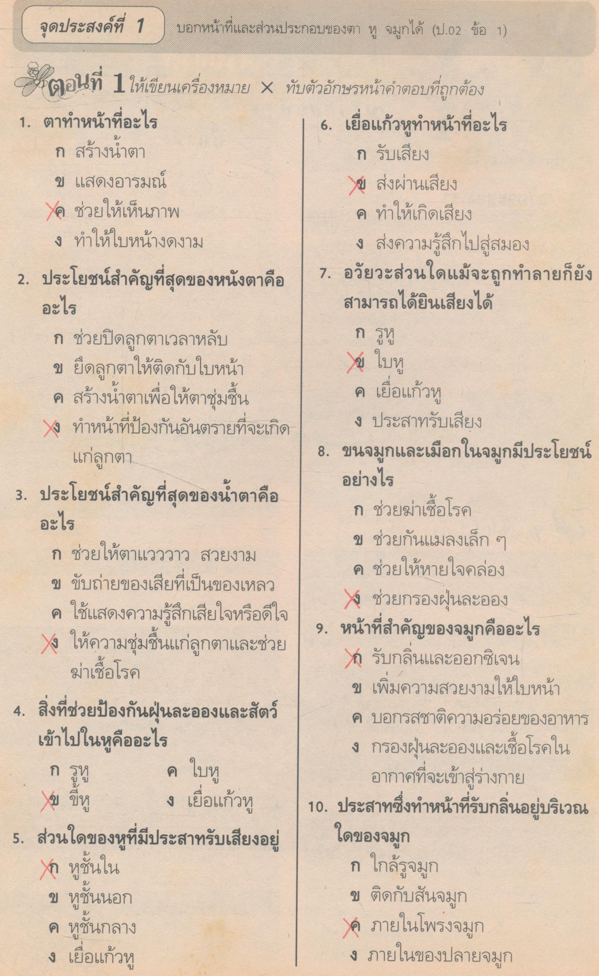คู่มือครู-เฉลย แบบประเมินผลการเรียน สปช. ป.3 ฉบับพัฒนากระบวนการ