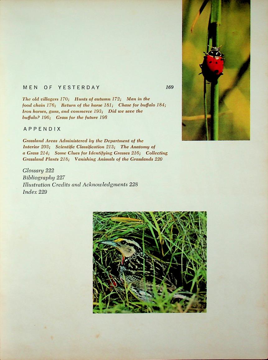 The Life of Prairies and Plains