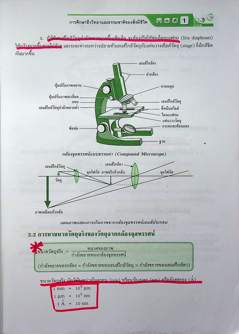 คู่มือเตรียมสอบแข่งขัน วิทยาศาสตร์ สอวน. ม.ต้น (ชีววิทยา)