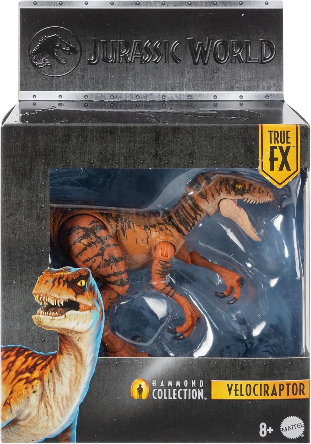 **MTS Toys**Mattel Jurassic World Hammond Collection : JDJ09 Velociraptor [True FX] [ความยาวจากหัวถึงหาง 20 ซ.ม.]