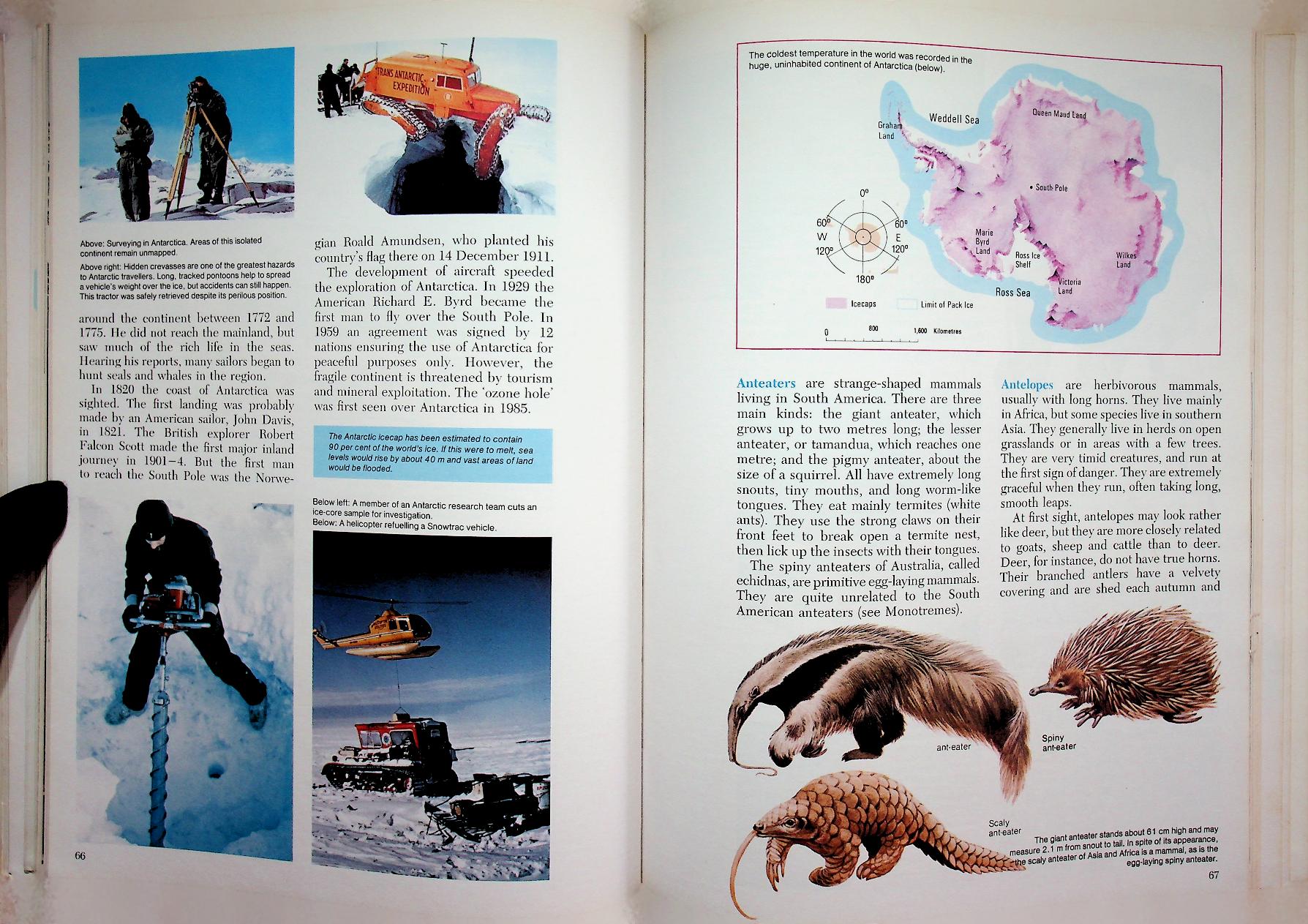 The 21st Century JUNIOR WORLD Encyclopedia 1