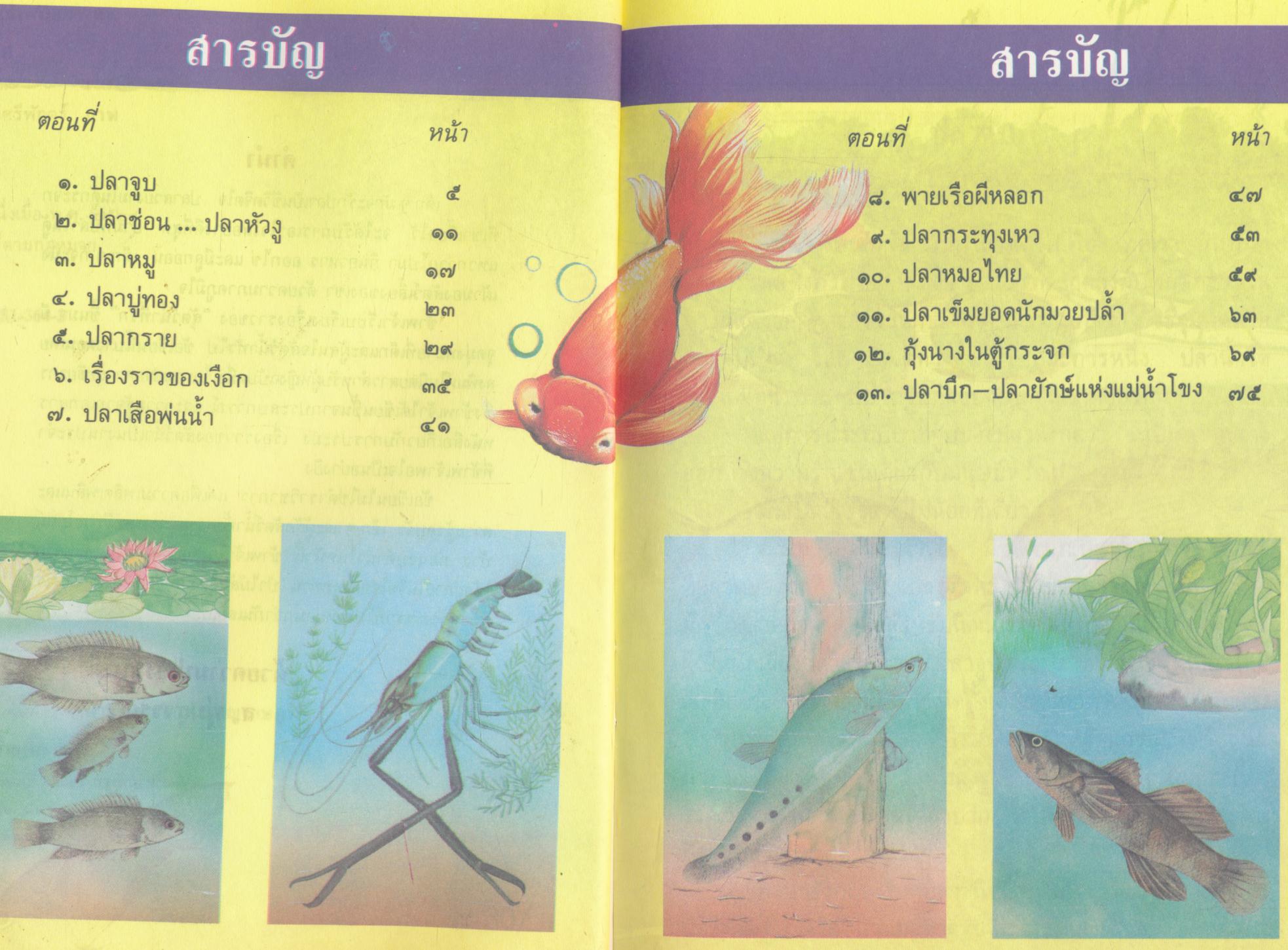 สัตว์น้ำที่รัก หนังสือสารคดีการเรียนรู้สำหรับเด็ก