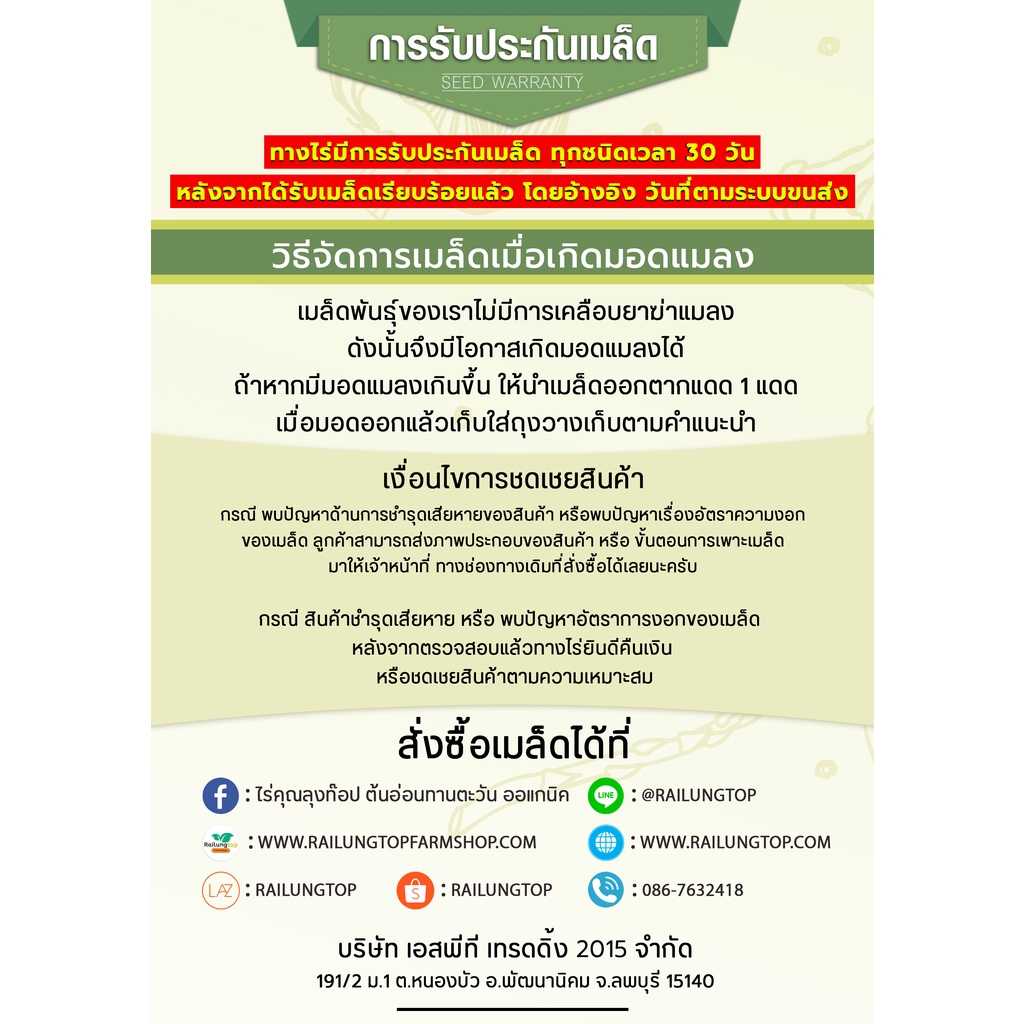 เมล็ดเพาะต้นอ่อน โต้วเหมี่ยว พันธุ์เมเปิ้ล (Pea Maple Microgreen) SUPERTOP ขนาด 1 KG.