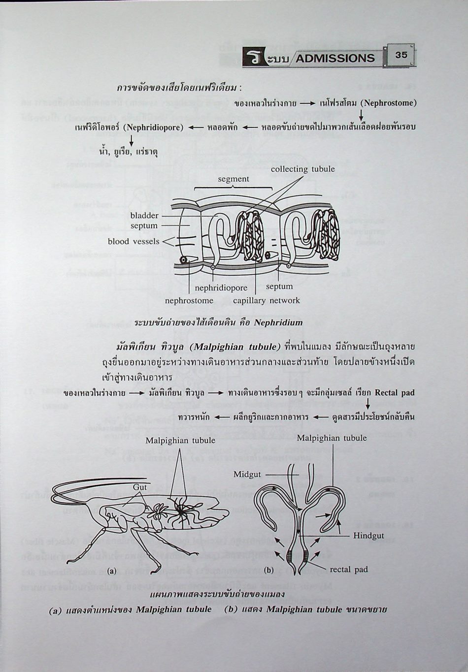 เฉลยข้อสอบเข้ามหาวิทยาลัย ชีววิทยา ฉบับรวมหลาย พ.ศ.