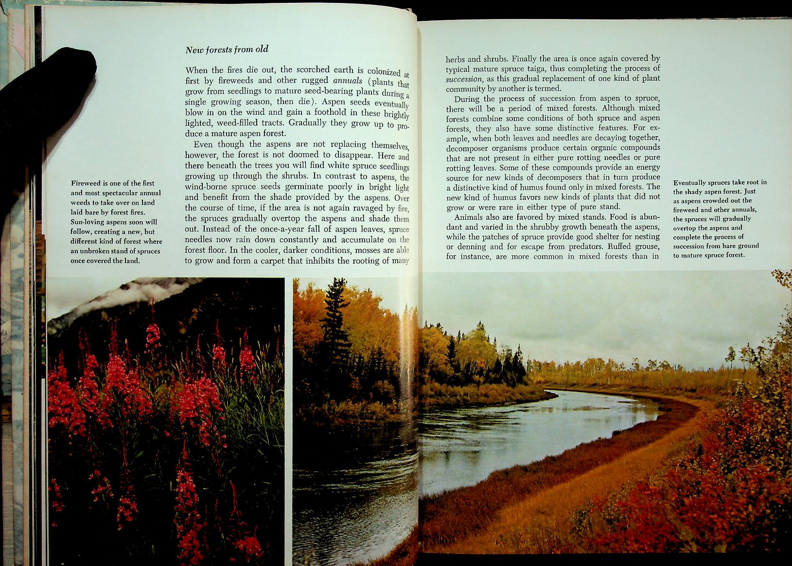 The Life of the Far North