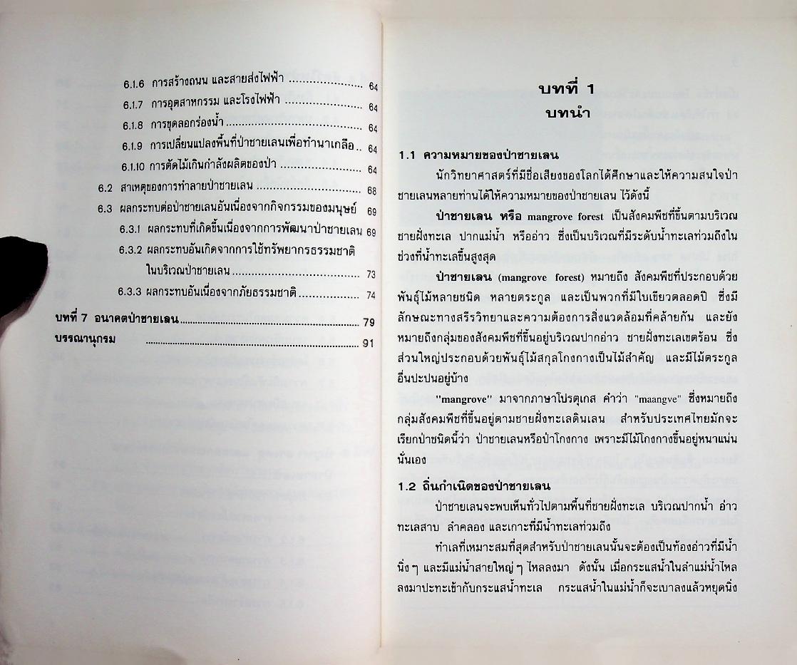 ป่าชายเลน