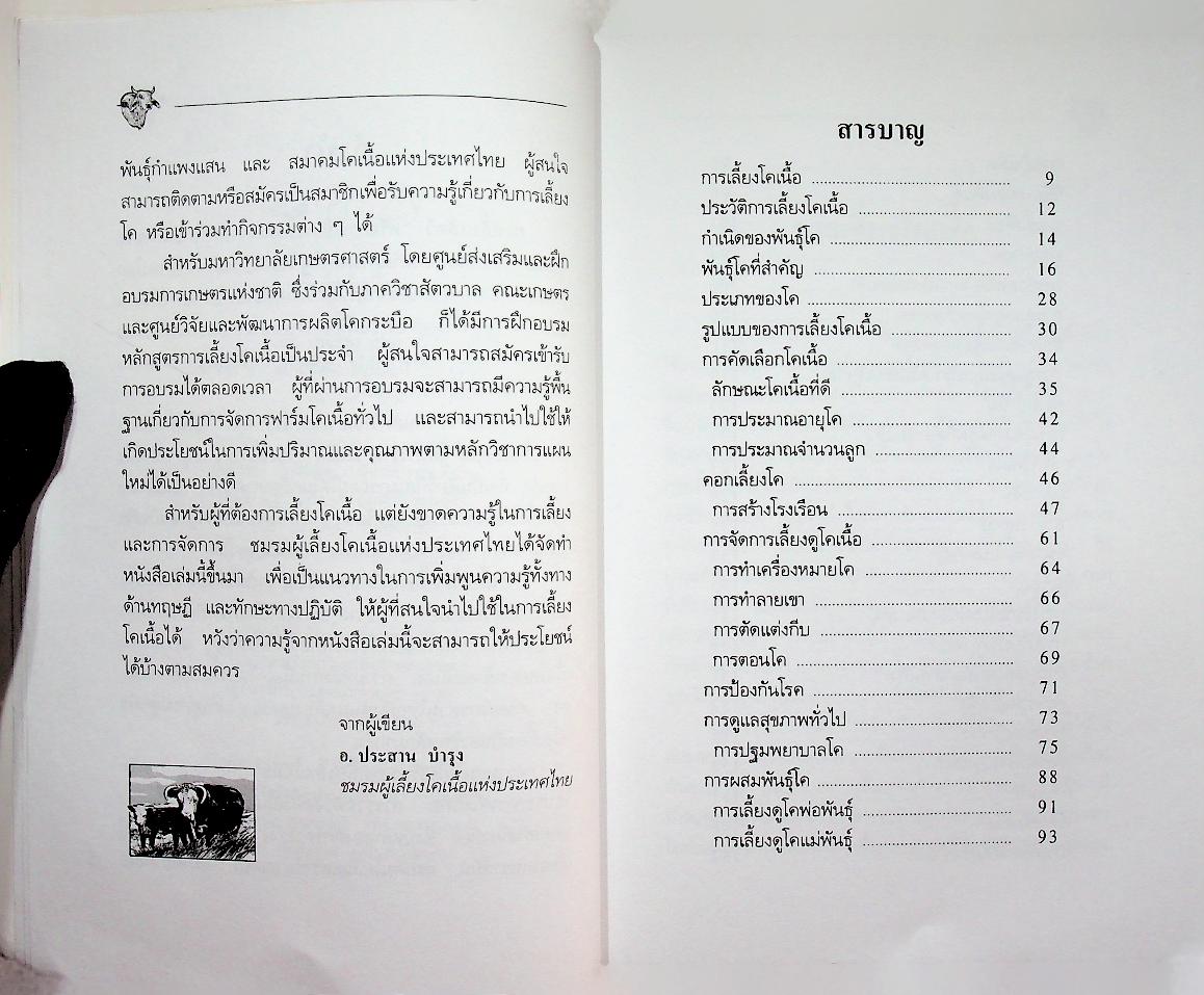 การเลี้ยงโคเนื้อ