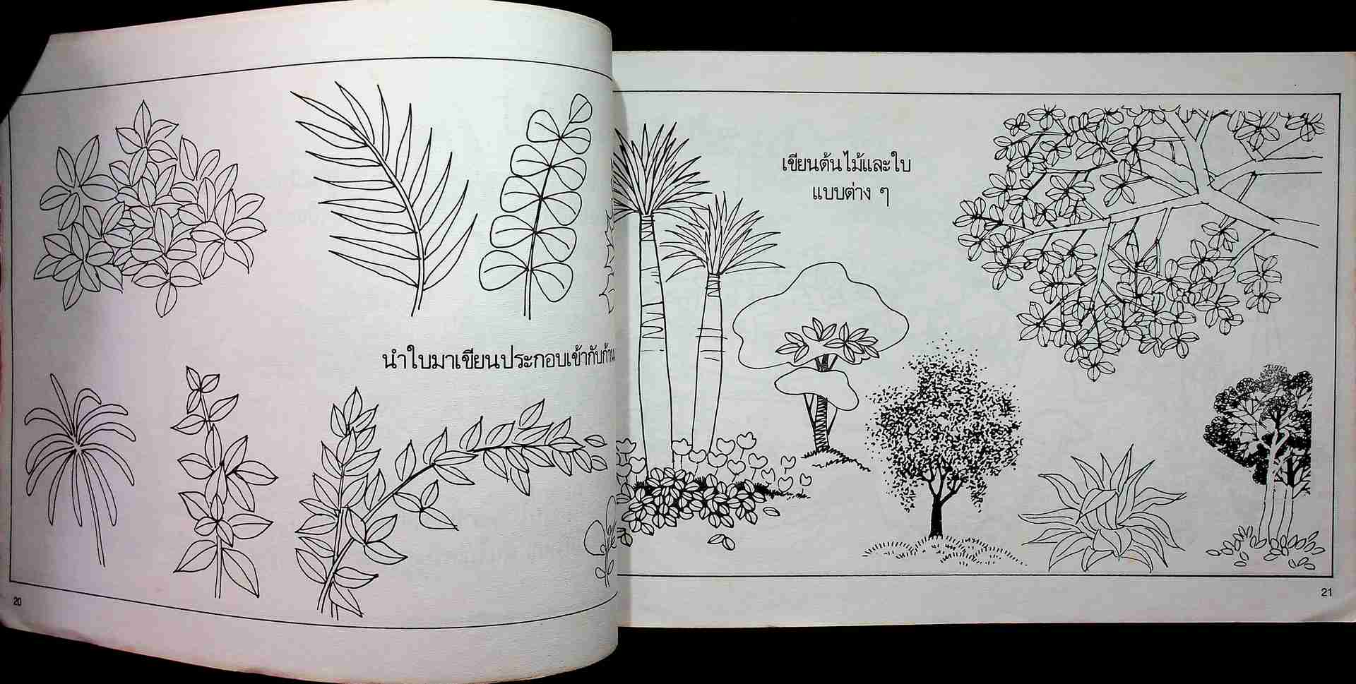 ภาพลายเส้น