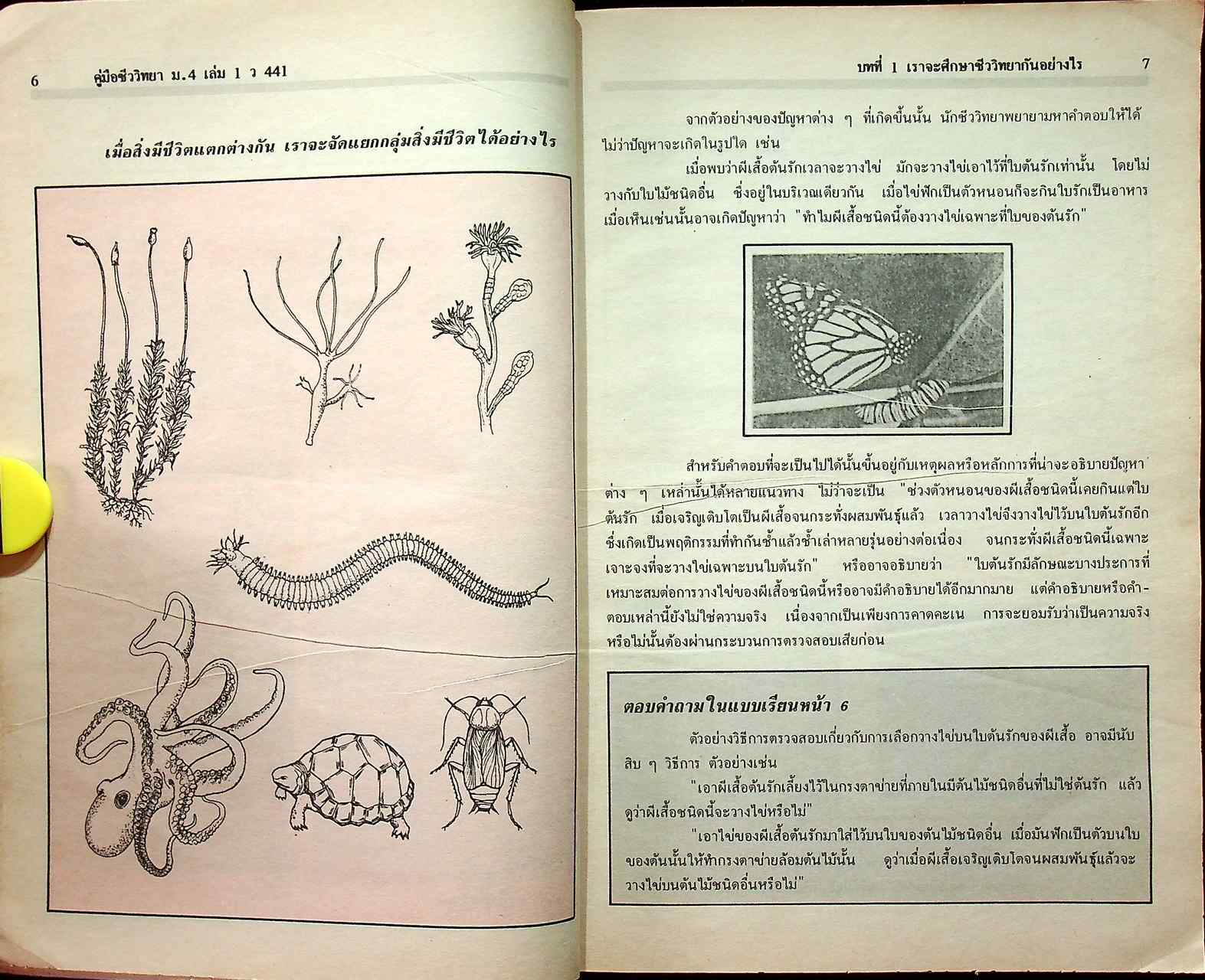 ชีววิทยา ม.4 เล่ม 1 ว 441