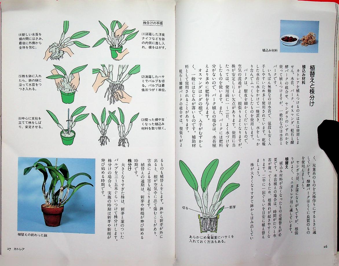 JOYFUL GREEN LIFE : Orchid (ดอกกล้วยไม้ ฉบับภาษาญี่ปุ่น)