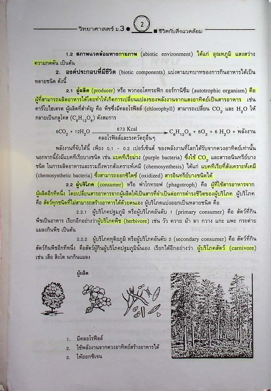 คู่มือเตรียมสอบสาระการเรียนรู้พื้นฐาน วิทยาศาสตร์ ม.3 ชีวิตกับสิ่งแวดล้อม สิ่งมีชีวิตกับกระบวนการดำรงชีวิต