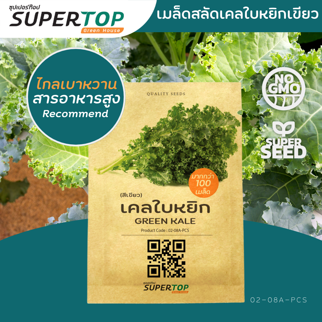 เมล็ดพันธุ์ผักสลัดออร์แกนิก RAILUNGTOP | เก็บจากฝัก สดจากไร่ลุงท๊อป ออร์แกนิก