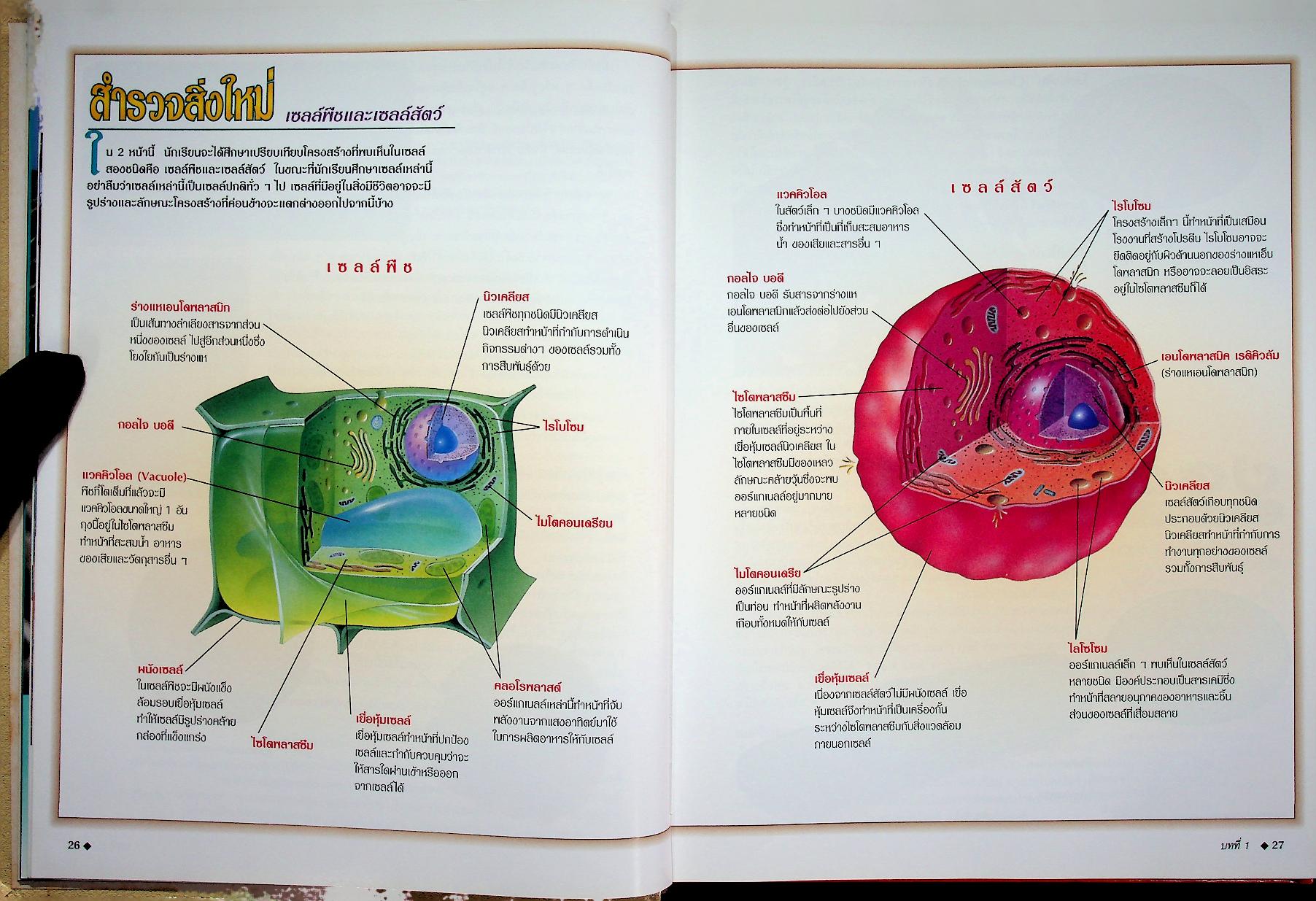 สำรวจโลกวิทยาศาสตร์ เซลล์และพันธุกรรม