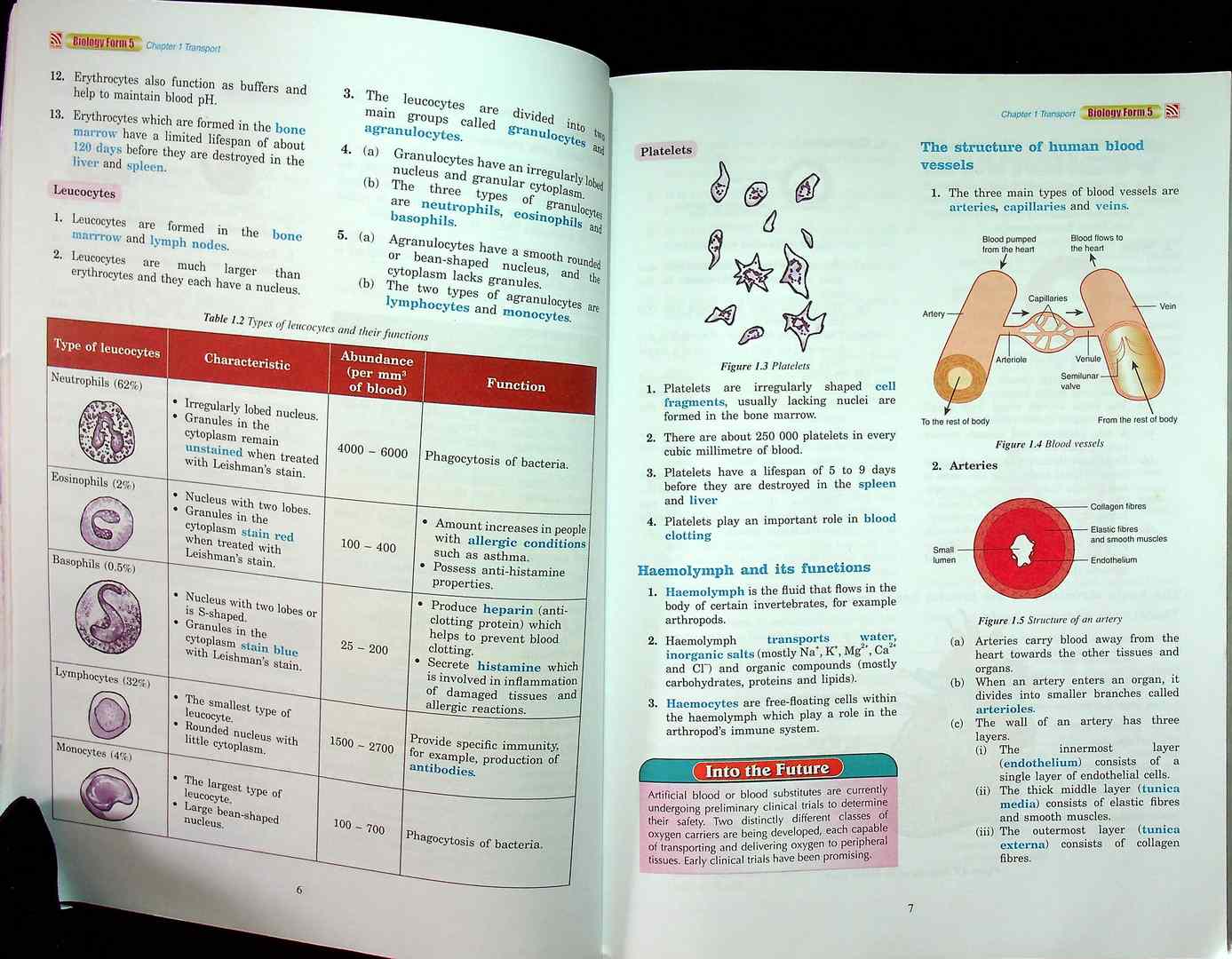 FOCUS EXCEL BIOLOGY Form5