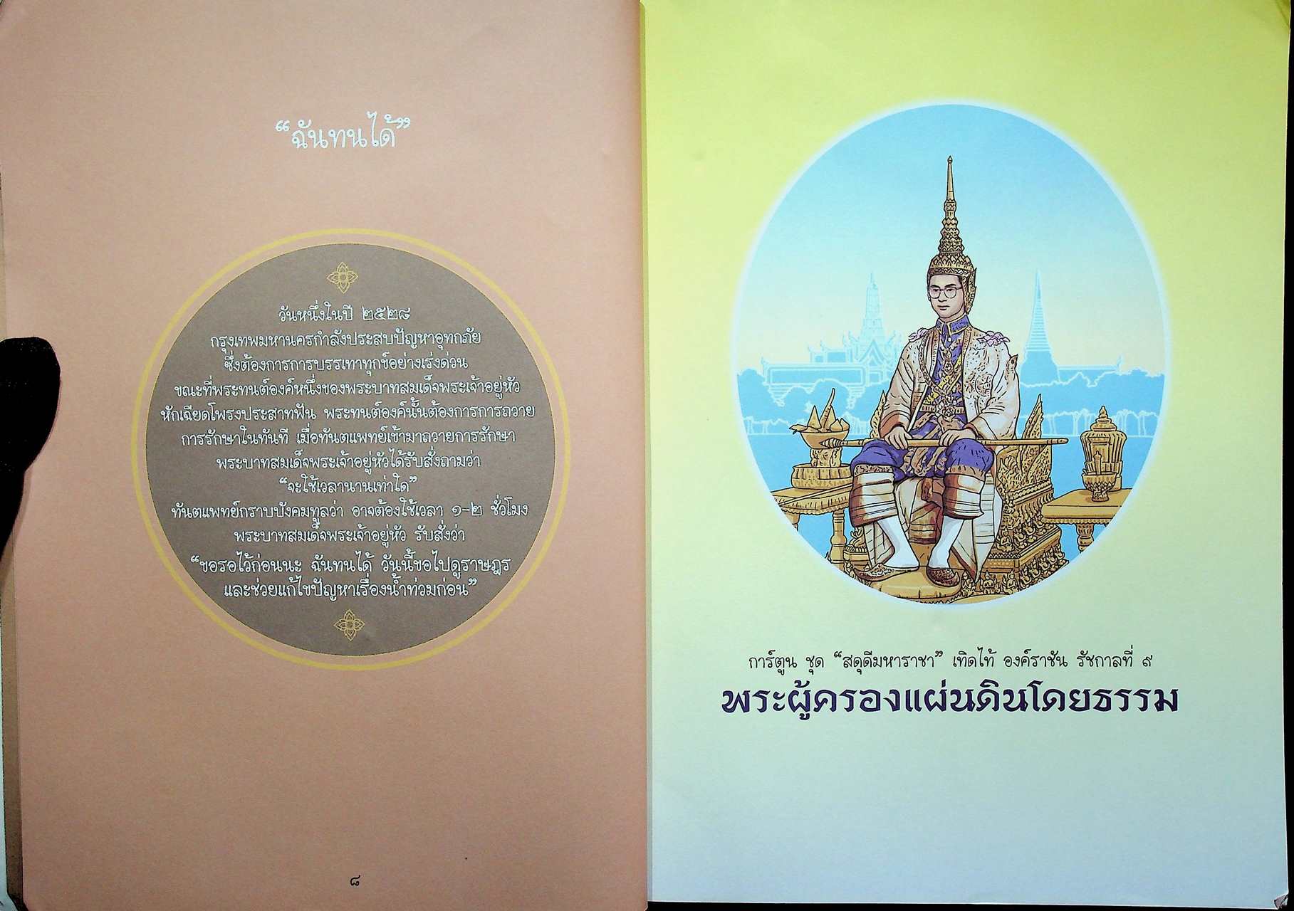 การ์ตูนฉบับเยาวชน ชุด สดุดีมหาราชา เทิดไท้องค์ราชัน รัชกาลที่ ๙