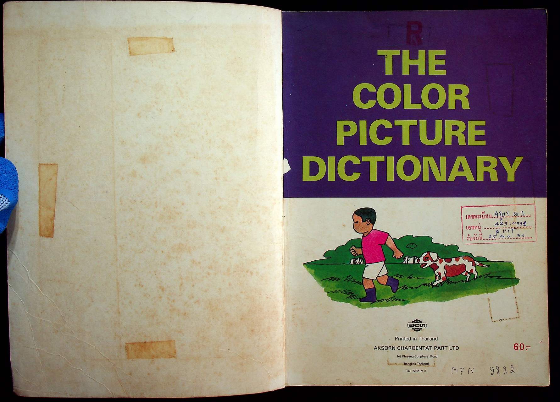 THE COLOR PICTURE DICTIONARY