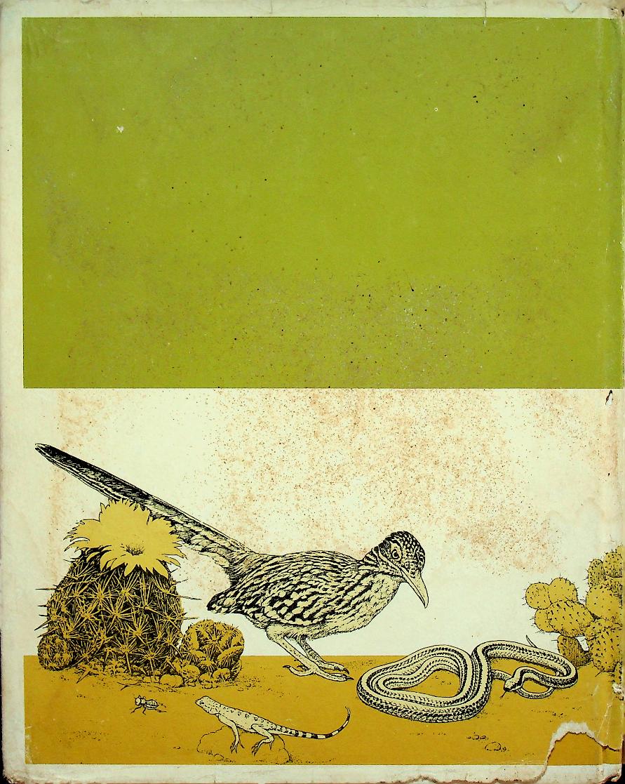 Young Readers Edition : THE DESERT