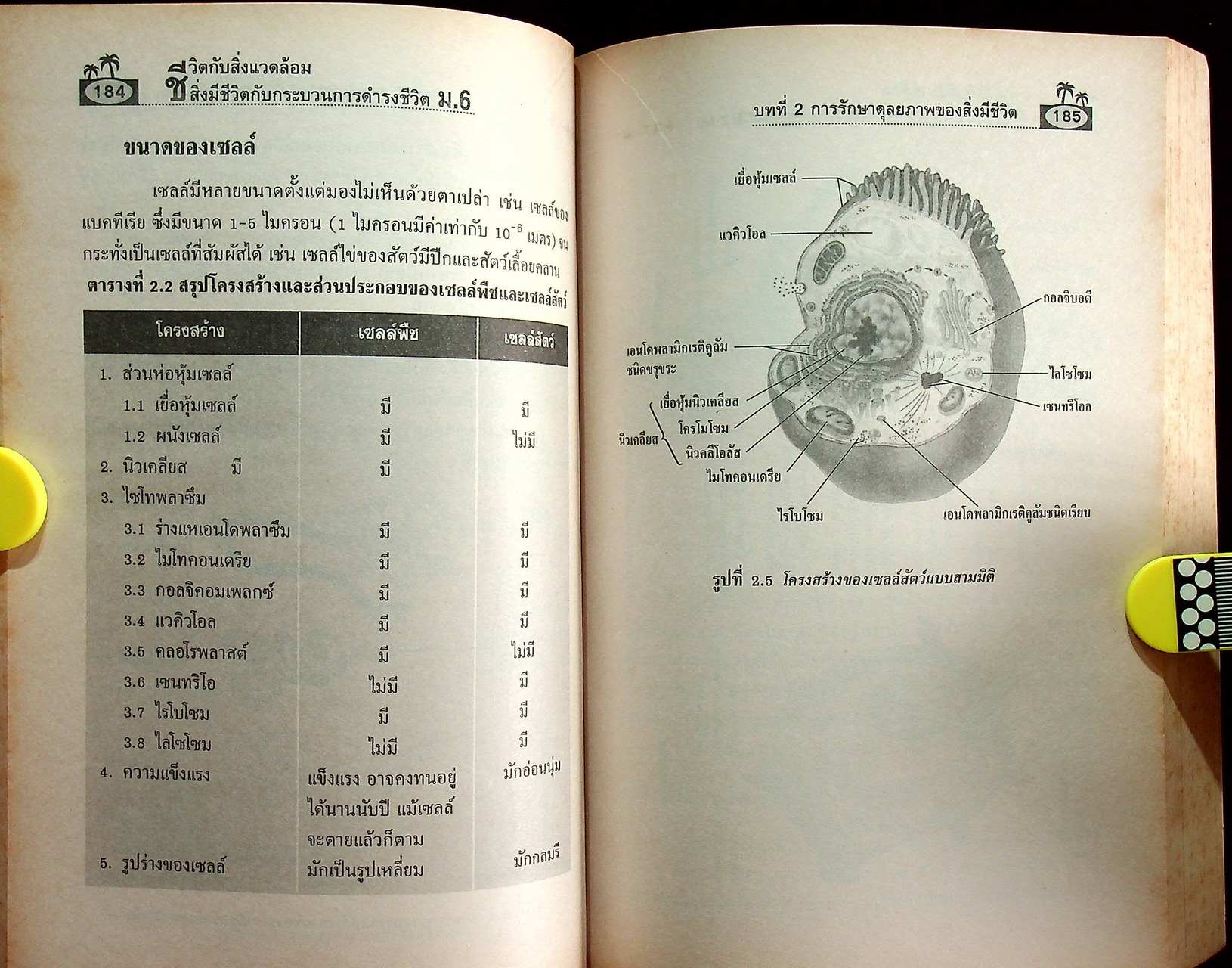 คู่มือเตรียมสอบ ชีวิตกับสิ่งแวดล้อม สิ่งมีชีวิตกับกระบวนการดำรงชีวิต ม.6 ช่วงชั้นที่ 4 (ม.4-5-6)