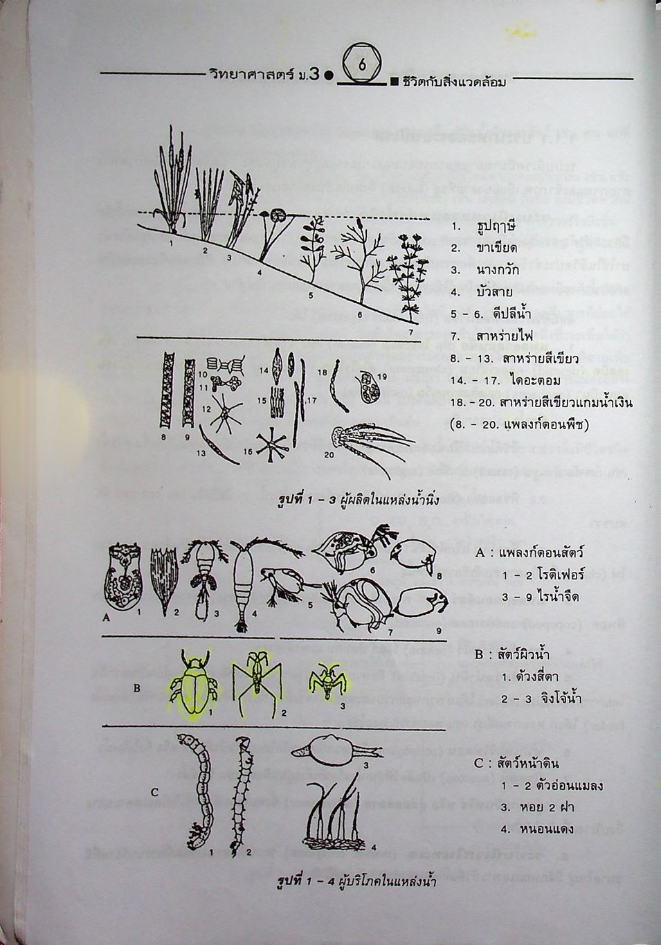 คู่มือเตรียมสอบสาระการเรียนรู้พื้นฐาน วิทยาศาสตร์ ม.3 ชีวิตกับสิ่งแวดล้อม สิ่งมีชีวิตกับกระบวนการดำรงชีวิต