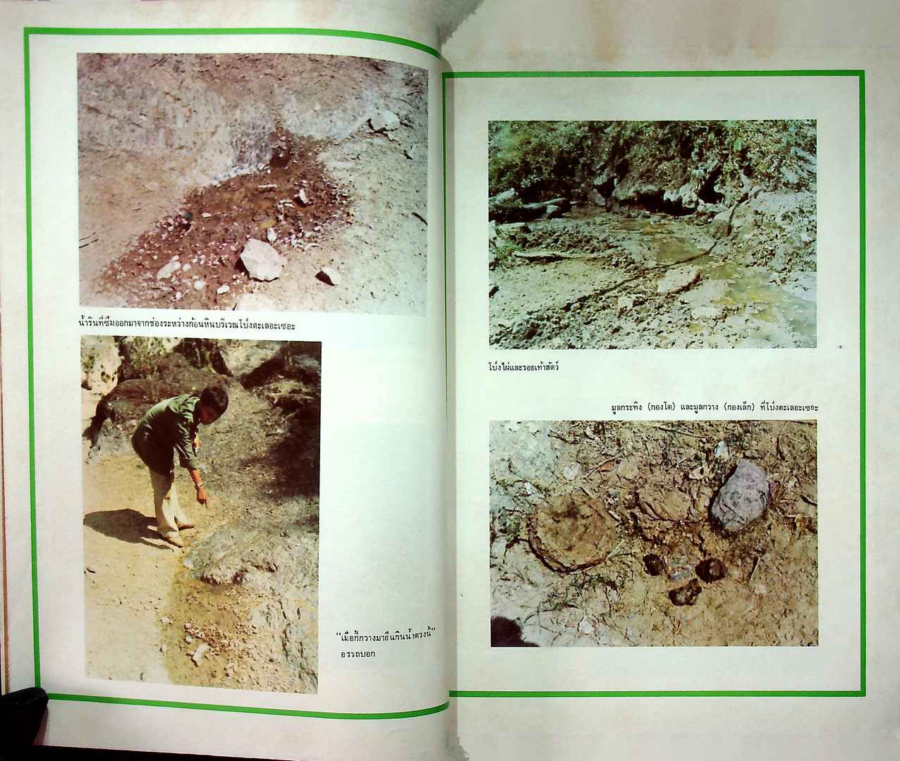 บันทึกลับจากทุ่ง ใหญ่