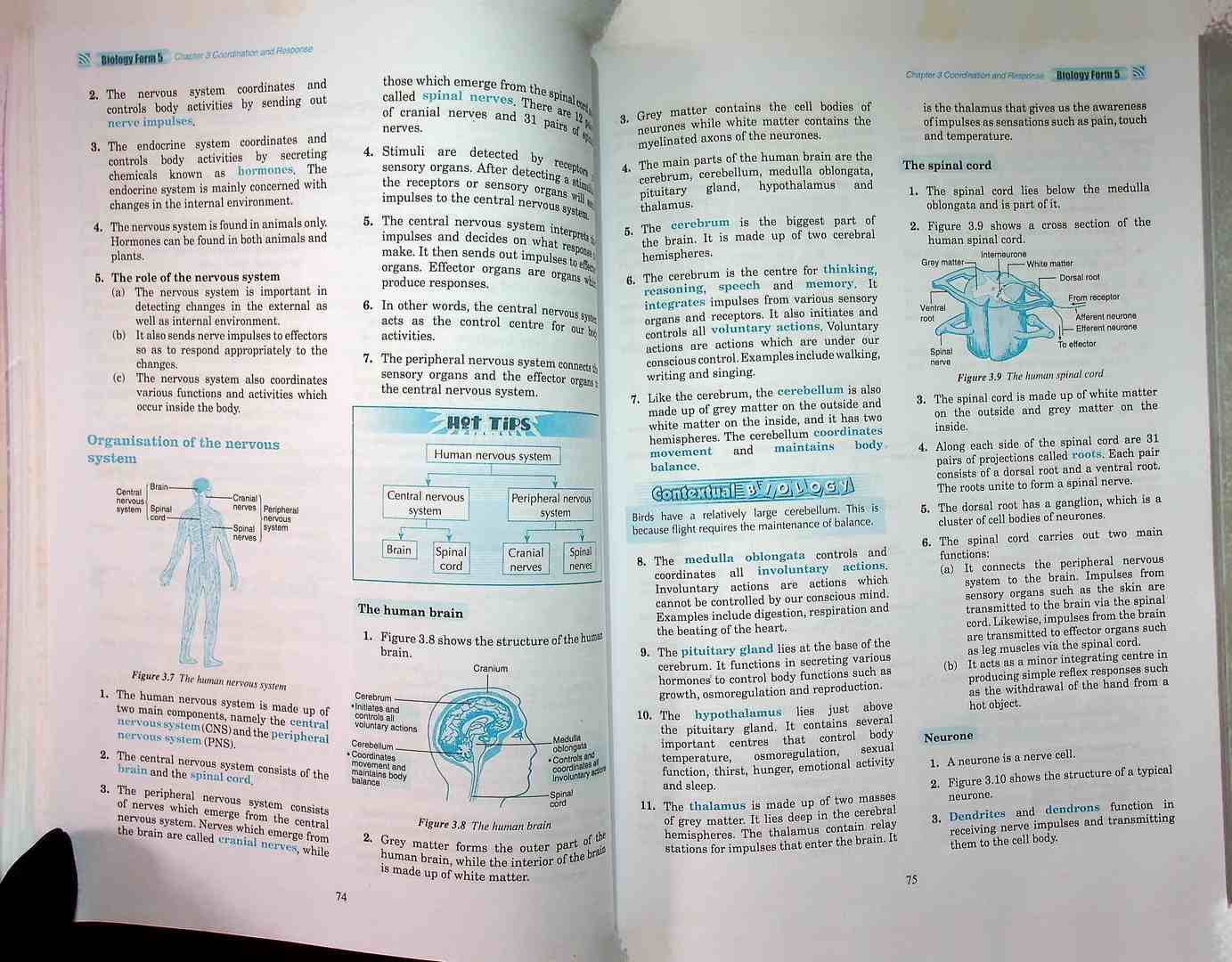 FOCUS EXCEL BIOLOGY Form5