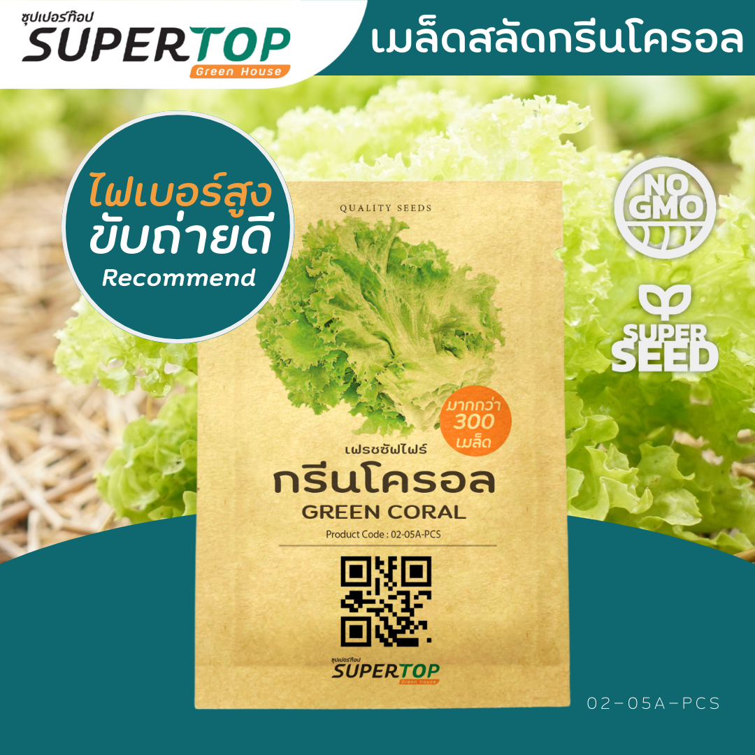 เมล็ดพันธุ์ผักสลัดออร์แกนิก RAILUNGTOP | เก็บจากฝัก สดจากไร่ลุงท๊อป ออร์แกนิก