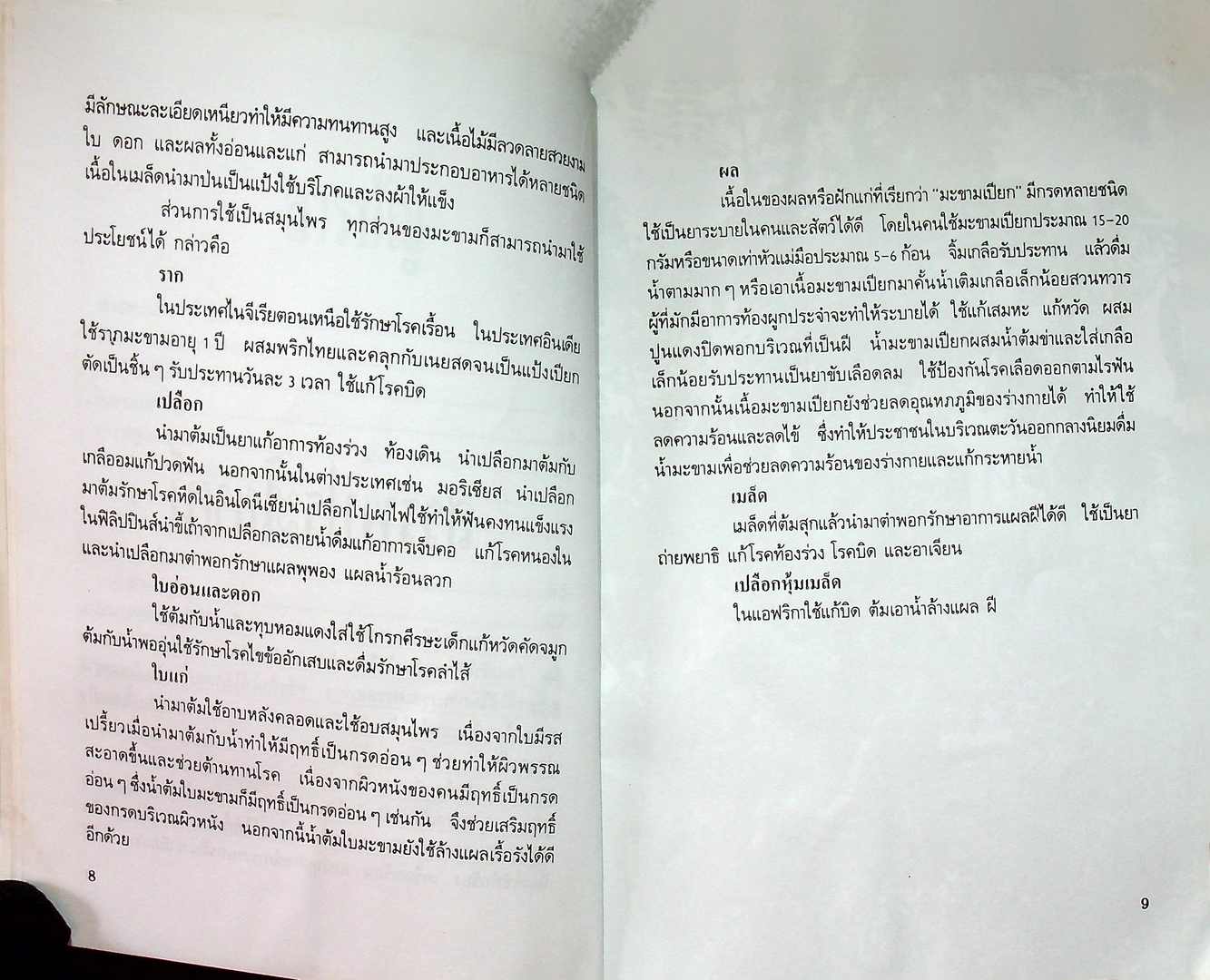 คู่มือมะขามหวาน