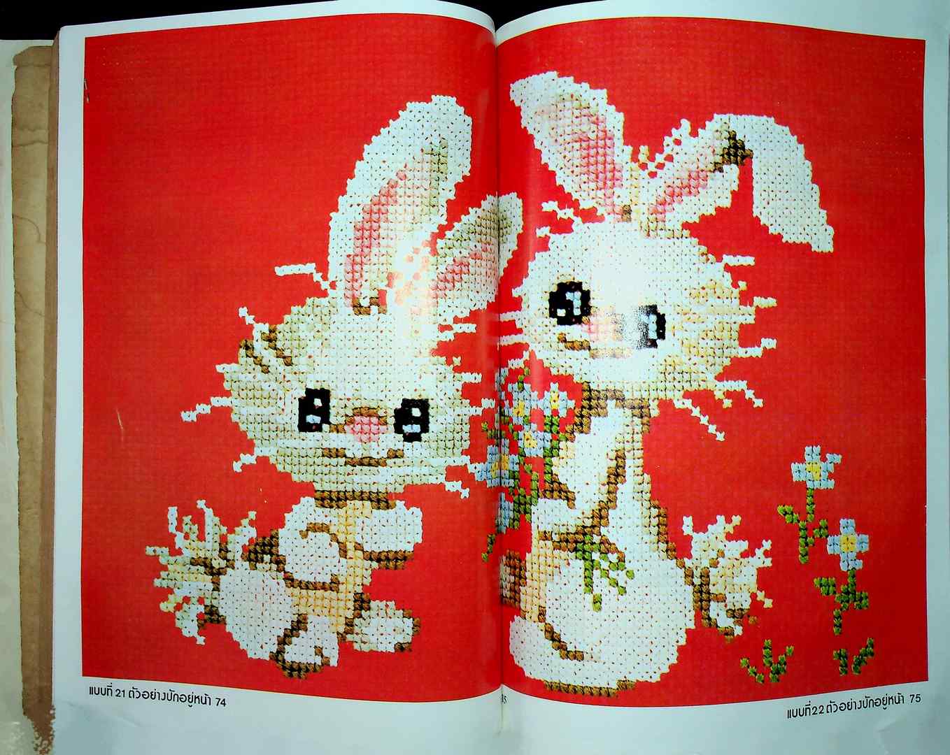 ตำราปักสอดแบบนำสมัยใหม่