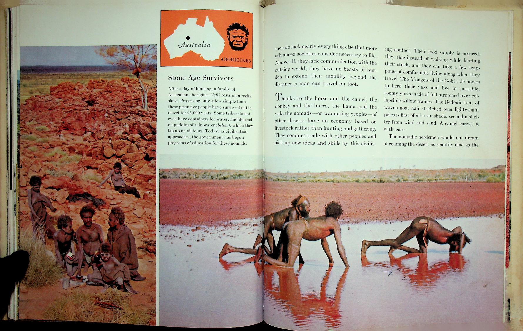 Young Readers Edition : THE DESERT