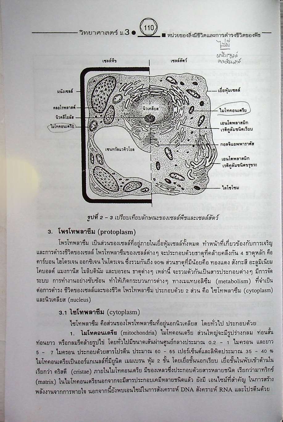 คู่มือเตรียมสอบสาระการเรียนรู้พื้นฐาน วิทยาศาสตร์ ม.3 ชีวิตกับสิ่งแวดล้อม สิ่งมีชีวิตกับกระบวนการดำรงชีวิต