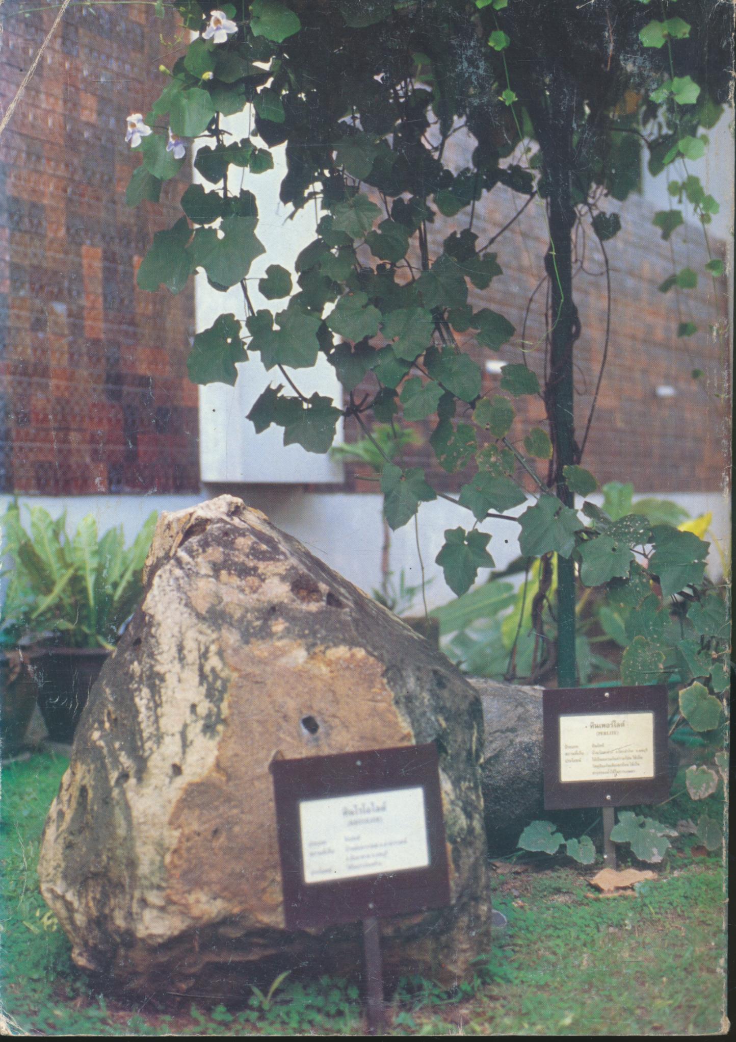 คู่มือการสอนสิ่งแวดล้อมศึกษา เรื่อง อุทยานการศึกษา