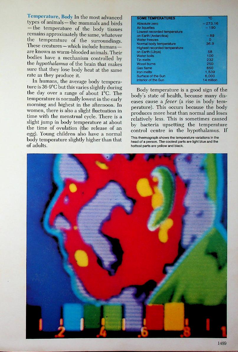 The 21st Century JUNIOR WORLD Encyclopedia 10