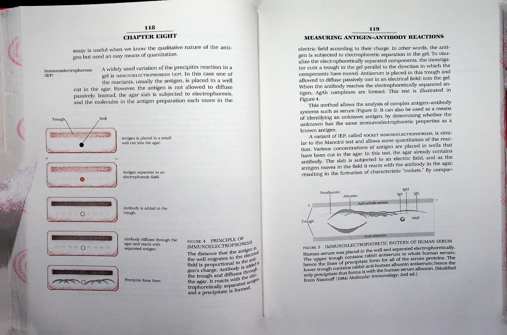 IMMUNOLOGY: A SYNTHESIS