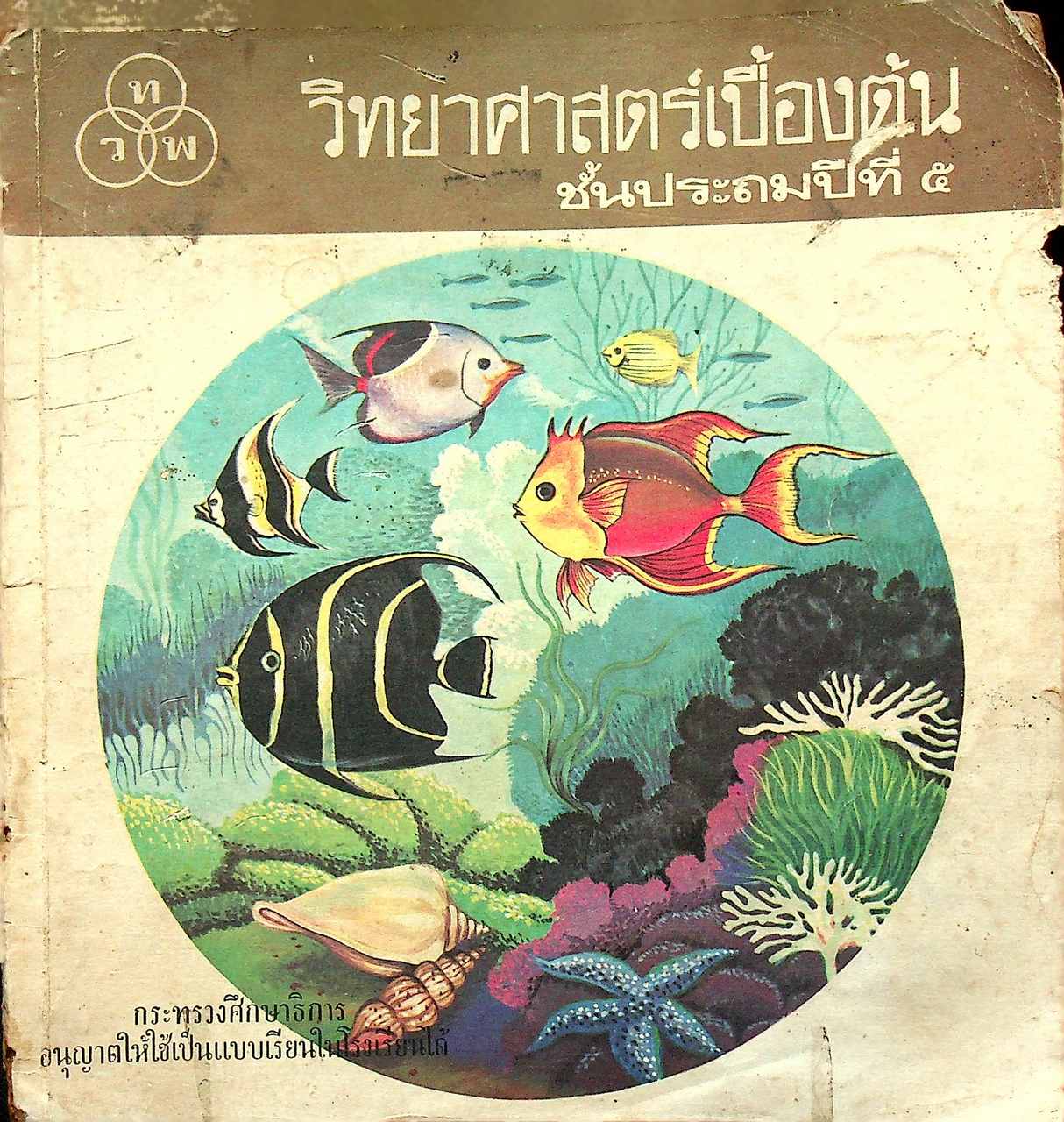 วิทยาศาสตร์เบื้องต้น ชั้นประถมปีที่ ๕