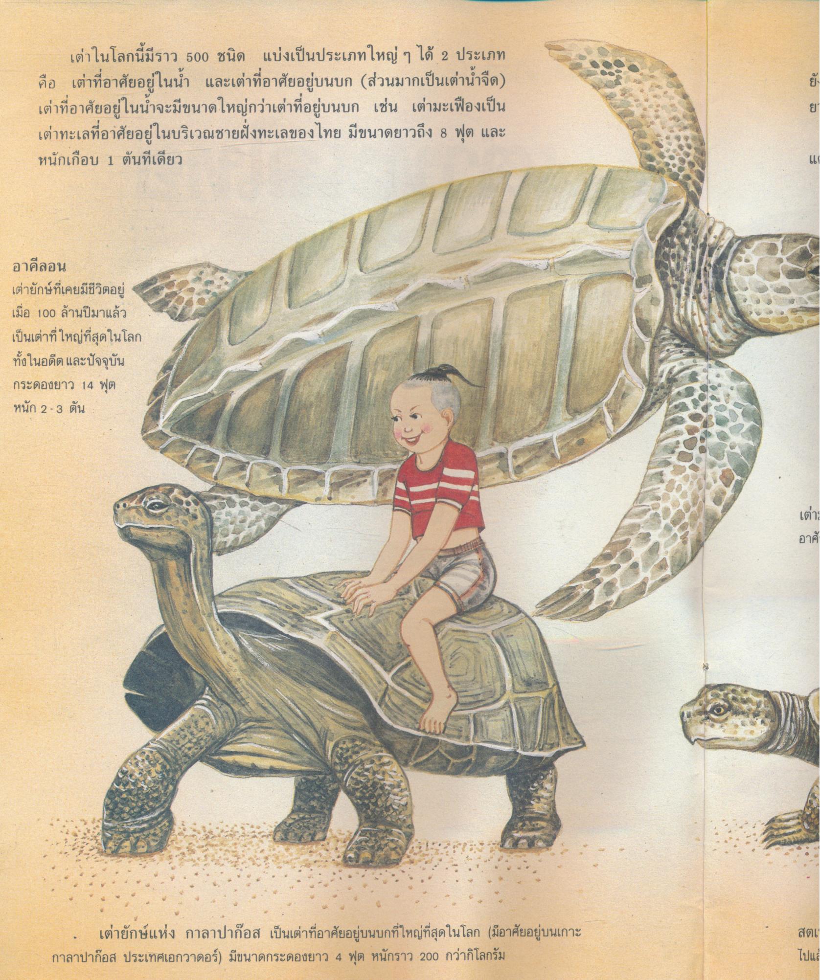 หนังสือชีวิตสัตว์ที่สำคัญ ในอาณาบริเวณน่านน้ำของไทย เต่าทะเลไทย ผู้เฒ่าแห่งท้องทะเล