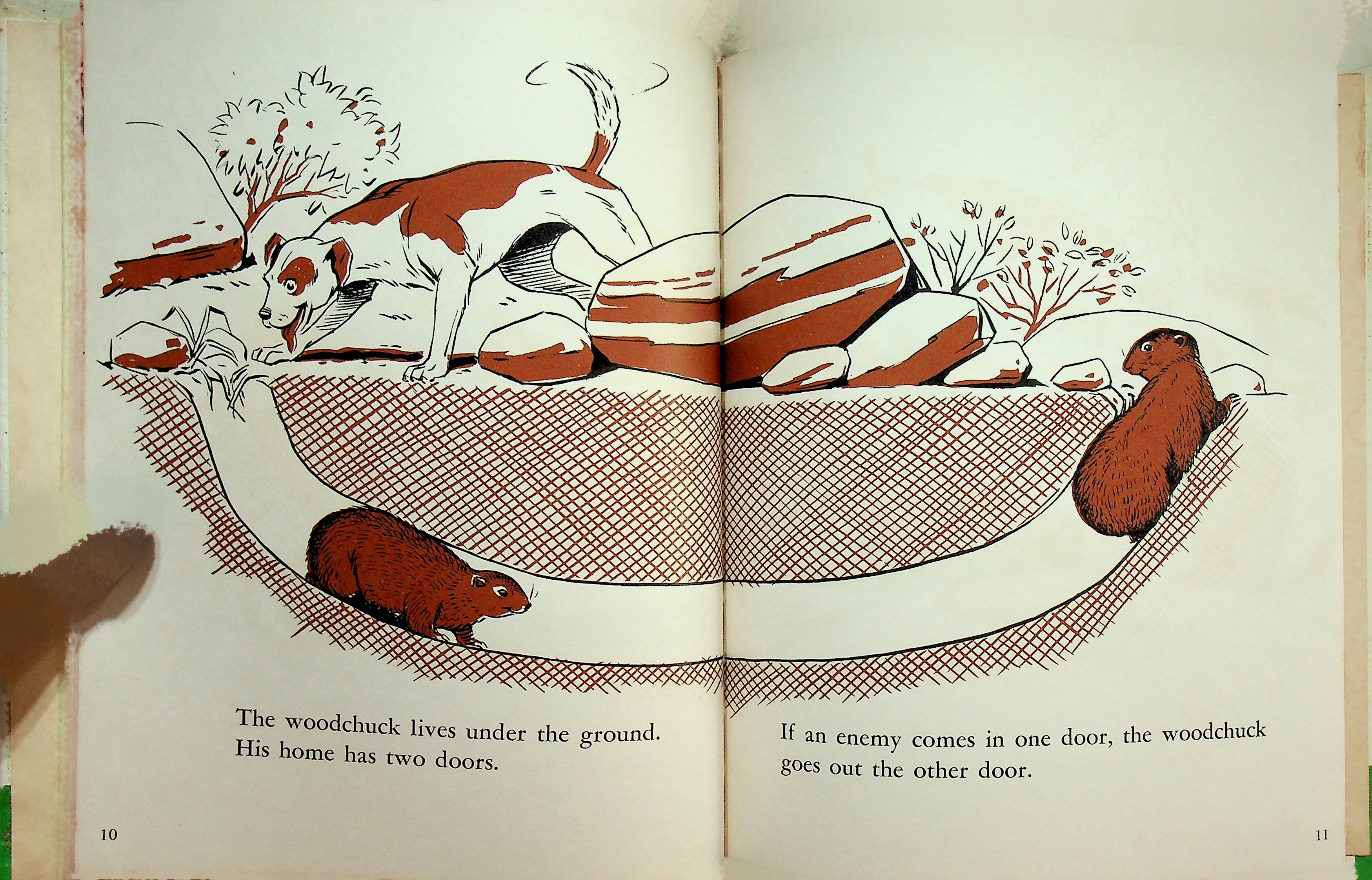 LET'S FIND OUT ABOUT ANIMAL HOMES