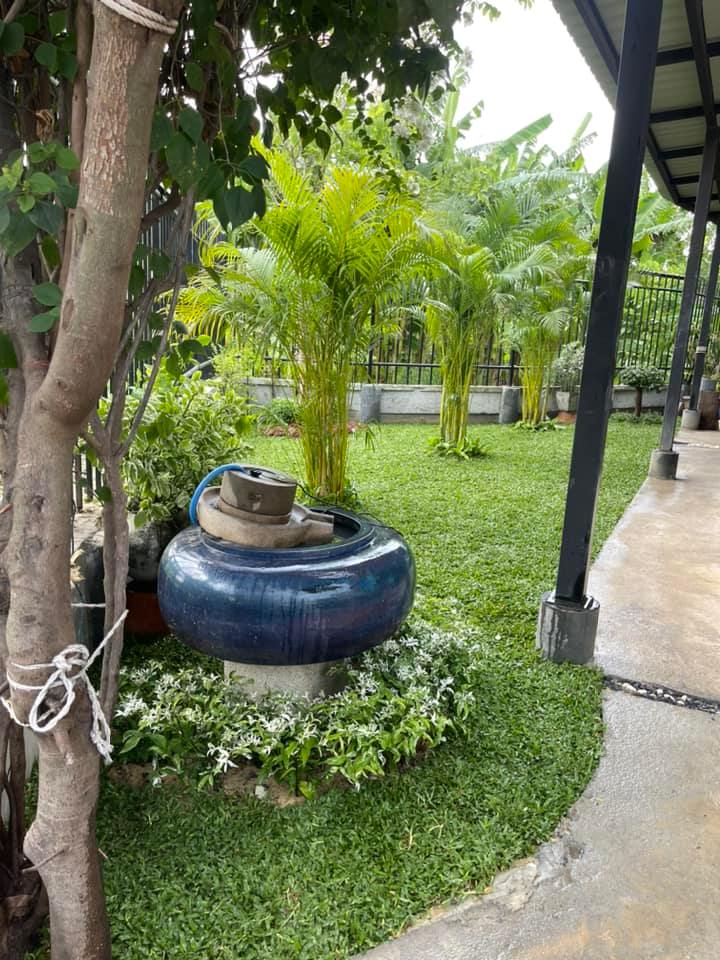 ปูหญ้ามาเลย์ ตำบลเมืองเก่า อำเภอเสาไห้ จังหวัดสระบุรี